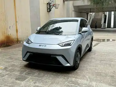 BYD Seagull 2024