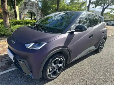BYD Seagull 2024