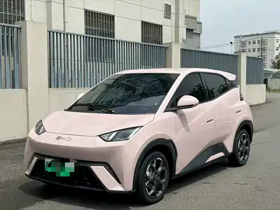 BYD Seagull 2024