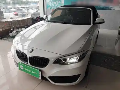 BMW 2 Series (Import) 2019