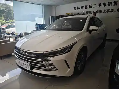BYD Destroyer 05 2024