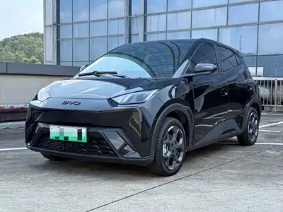 BYD Seagull 2024