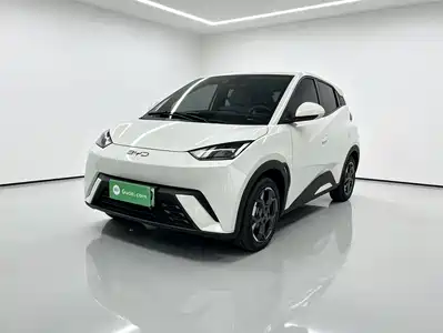 BYD Seagull 2024