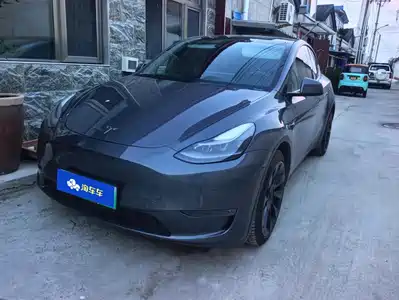 Tesla Model Y 2021