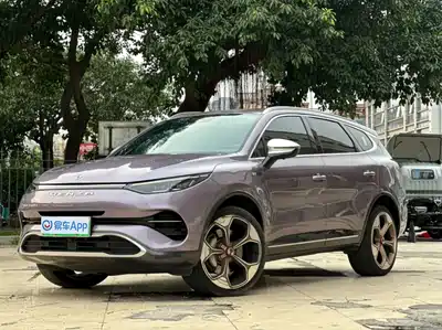 Denza X 2021