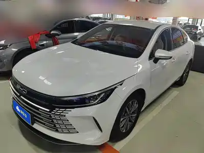 BYD Destroyer 05 2024