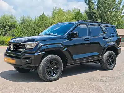 Tank 400 New Energy 2024