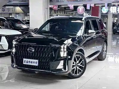 GAC Trumpchi GS8 2024
