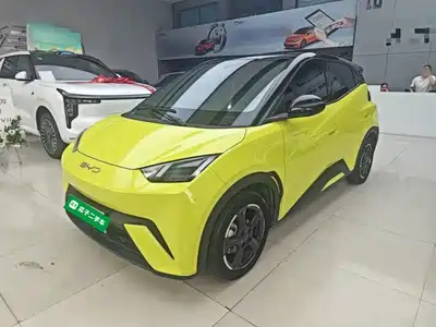 BYD Seagull 2024