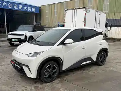BYD Seagull 2024