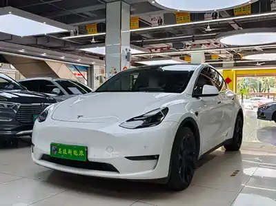 Tesla Model Y 2021