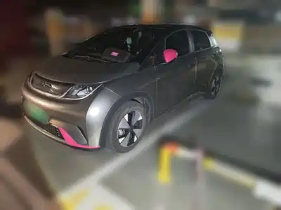BYD Dolphin 2024