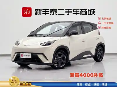 BYD Seagull 2024
