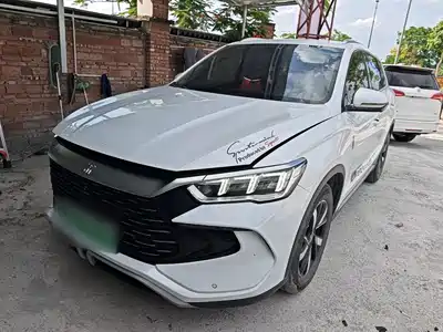 BYD Song Pro New Energy 2024