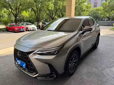 Lexus NX 2024