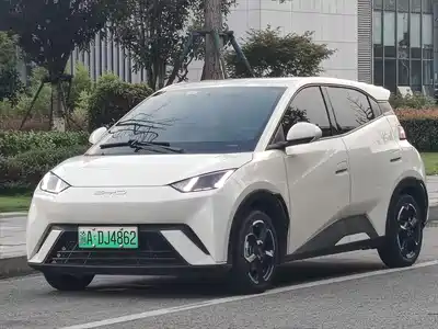 BYD Seagull 2023