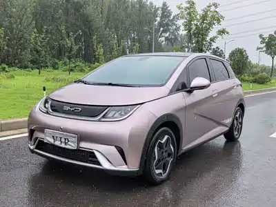 BYD Dolphin 2022
