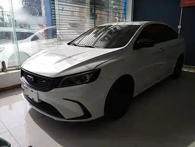 Geely Binrui 2021