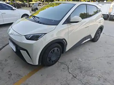BYD Seagull 2024