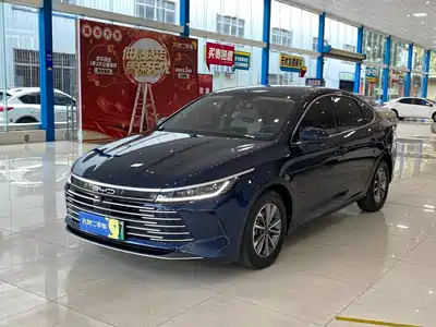 BYD Destroyer 05 2024