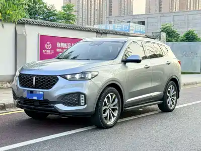 WEY VV6 2019