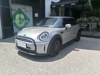 MINI MINI 2024