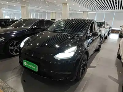 Tesla Model Y 2021