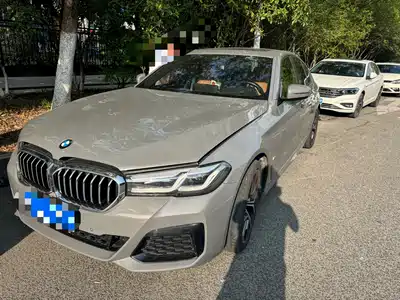 BMW 5 Series (Import) 2021