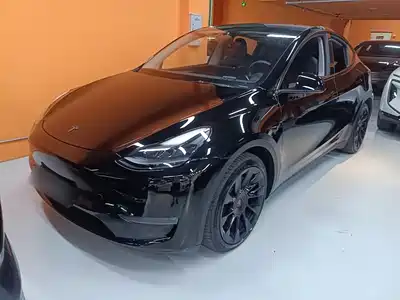 Tesla Model Y 2021