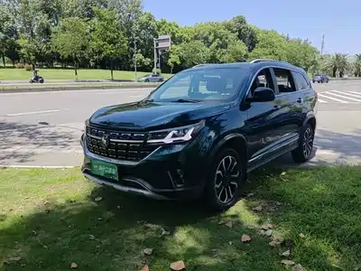 Dongfeng Fengxing T5 2022