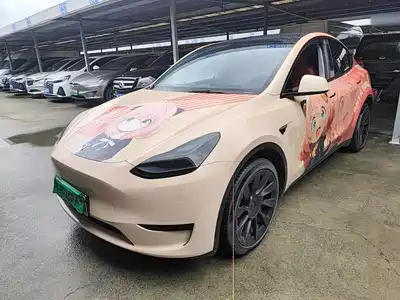 Tesla Model Y 2022