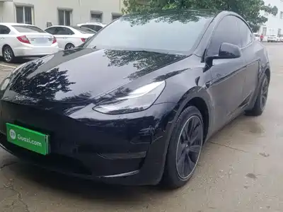 Tesla Model Y 2021