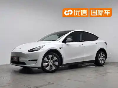 Tesla Model Y 2021