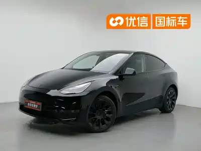 Tesla Model Y 2021