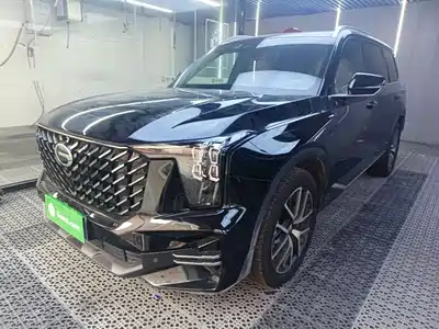 GAC Trumpchi GS8 2024