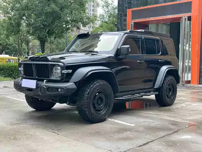 Tank 300 2024