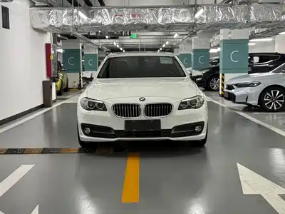 BMW 5 Series (Import) 2014