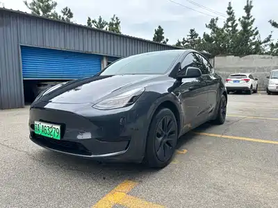 Tesla Model Y 2024