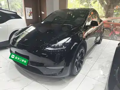 Tesla Model Y 2021