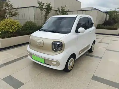 Besturn Pony 2024