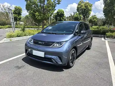 BYD Dolphin 2025