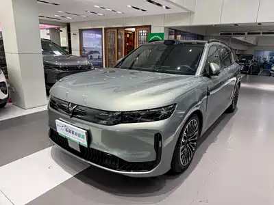 Voyah Auto FREE 2025