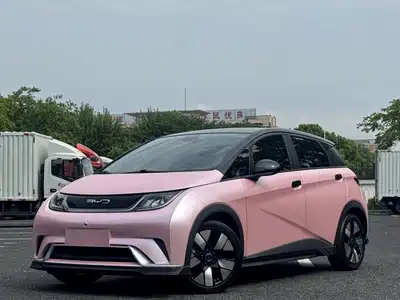 BYD Dolphin 2022
