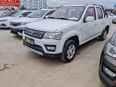 Changan Kaicheng Shenqi F30 2019