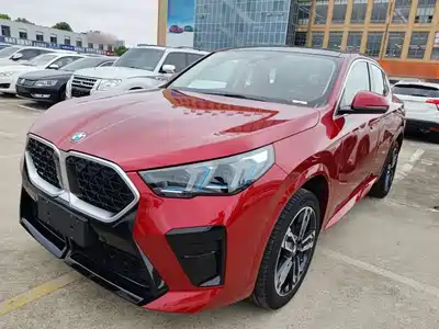 BMW X2 (Import) 2024