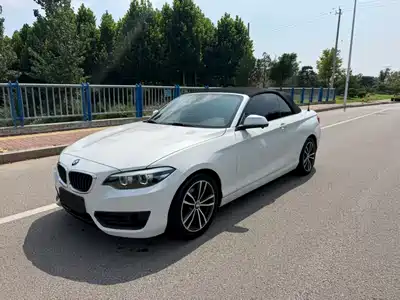 BMW 2 Series (Import) 2018