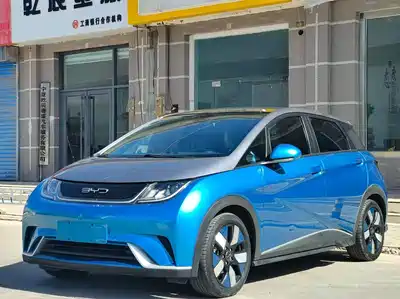 BYD Dolphin 2022