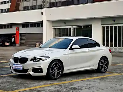 BMW 2 Series (Import) 2021