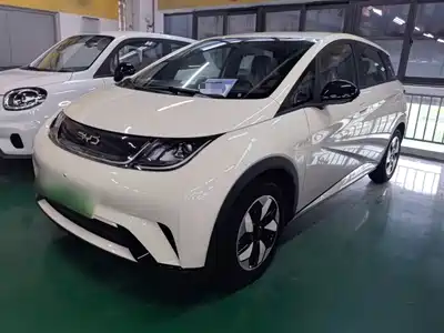 BYD Dolphin 2026