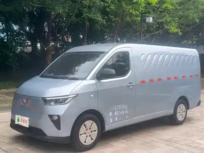 Wuling Motors Yangguang 2025